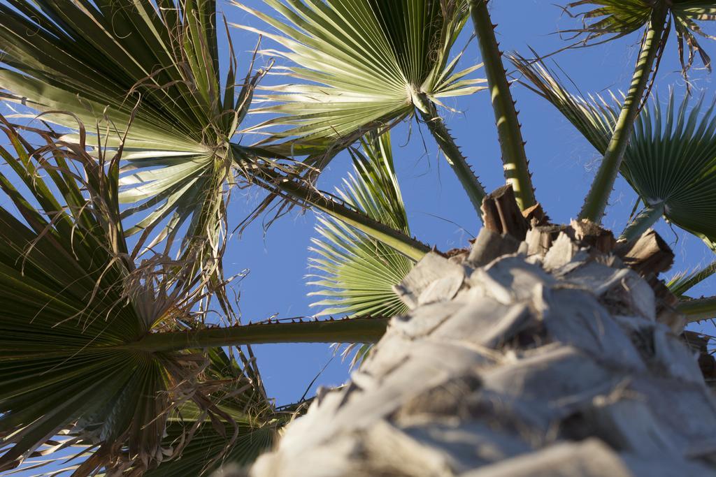 Sud Beach Hotel Fronte Mare By Ria Hotels Marina Di Pulsano Bilik gambar