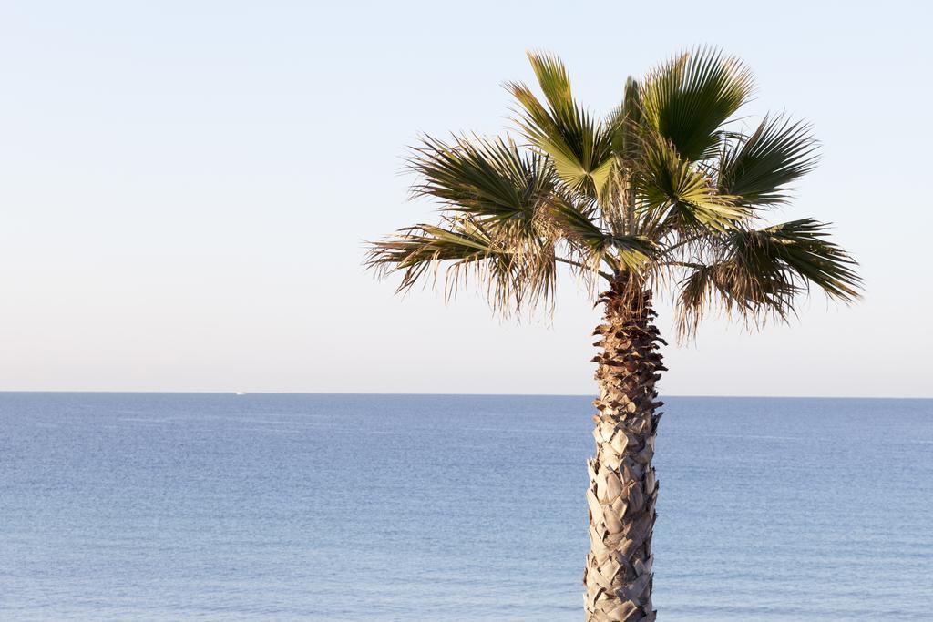 Sud Beach Hotel Fronte Mare By Ria Hotels Marina Di Pulsano Bilik gambar